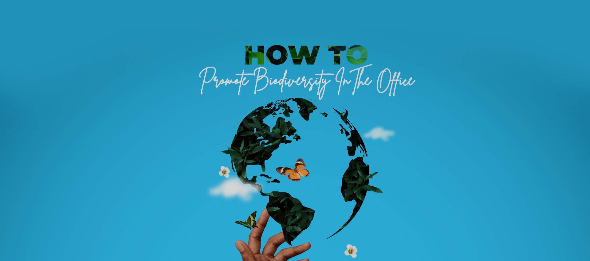 How To Promote Biodiversity In The Office